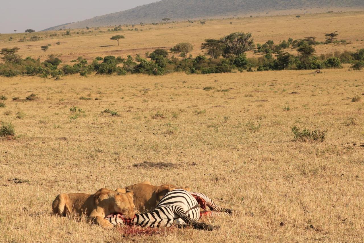 نزل أروشافي White House Of Tanzania المظهر الخارجي الصورة